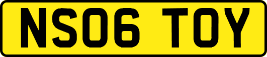 NS06TOY
