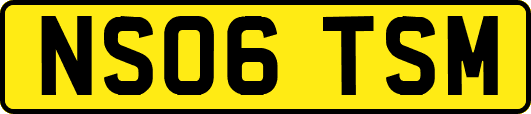 NS06TSM