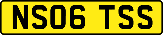 NS06TSS