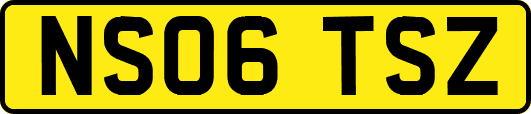 NS06TSZ