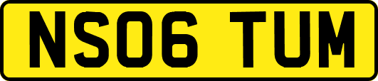 NS06TUM