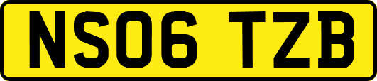 NS06TZB