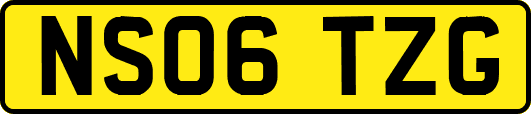 NS06TZG