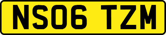 NS06TZM