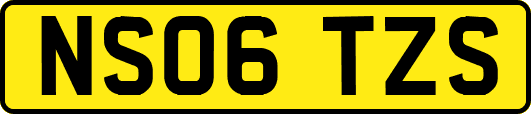 NS06TZS