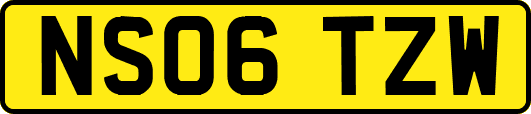 NS06TZW