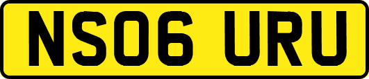 NS06URU