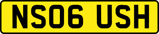 NS06USH