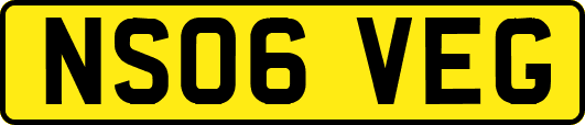 NS06VEG