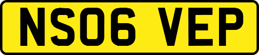 NS06VEP