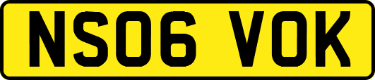 NS06VOK