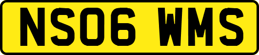 NS06WMS