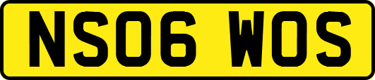 NS06WOS