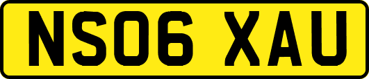 NS06XAU