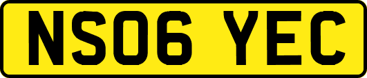 NS06YEC