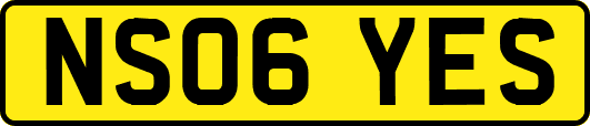 NS06YES