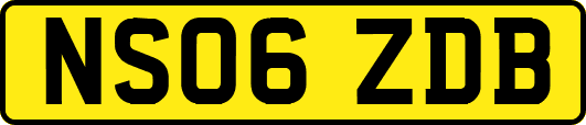 NS06ZDB