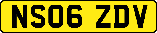 NS06ZDV