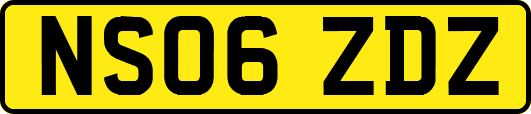 NS06ZDZ