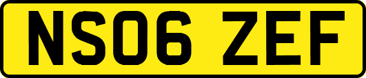 NS06ZEF
