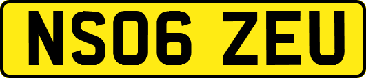 NS06ZEU