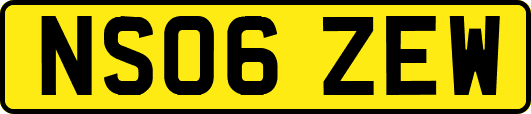 NS06ZEW