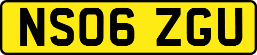 NS06ZGU