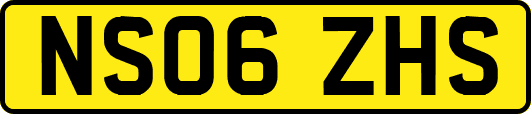 NS06ZHS
