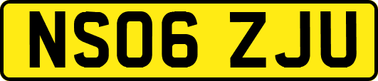 NS06ZJU