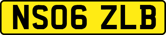 NS06ZLB