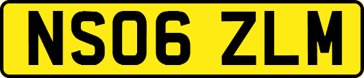 NS06ZLM