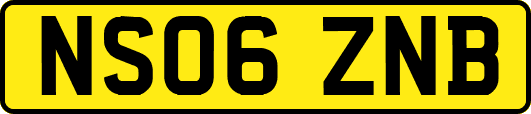 NS06ZNB