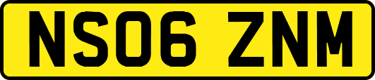 NS06ZNM