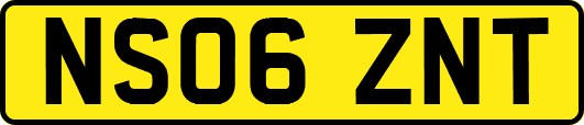 NS06ZNT
