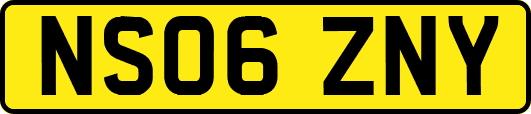 NS06ZNY