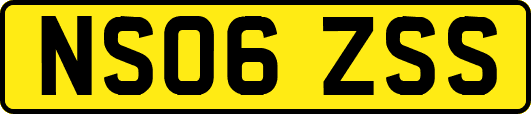 NS06ZSS
