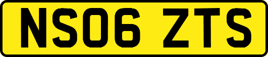 NS06ZTS