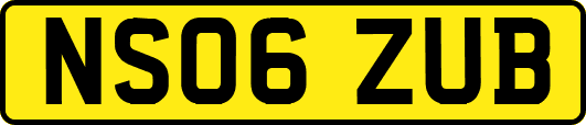 NS06ZUB