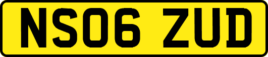 NS06ZUD