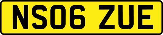 NS06ZUE