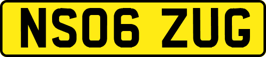 NS06ZUG