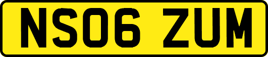 NS06ZUM