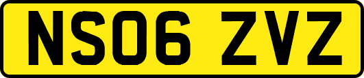 NS06ZVZ