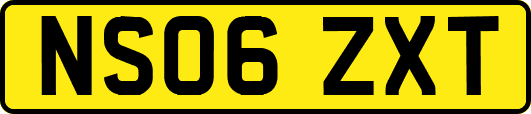 NS06ZXT