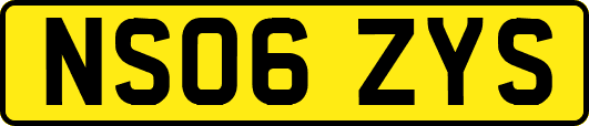 NS06ZYS