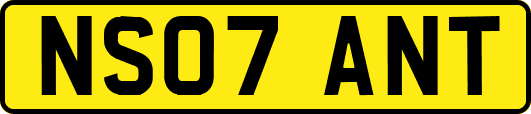 NS07ANT
