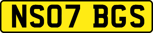 NS07BGS