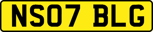 NS07BLG