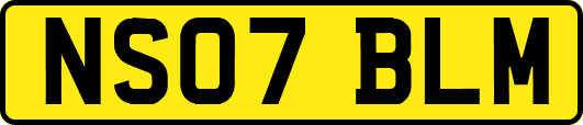 NS07BLM