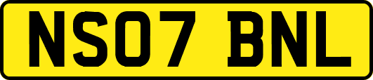 NS07BNL